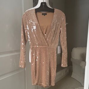 NWT Majorelle Nude Mesh & Sequin V Neck Mini Party Dress Sz XS